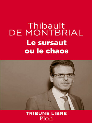 cover image of Le sursaut ou le chaos